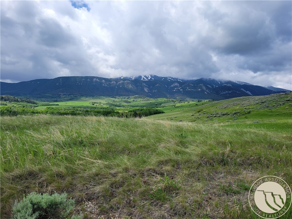 Property Photo: 447 Highway 78, Aka Lot 2 Whitetail Lane MT 59068