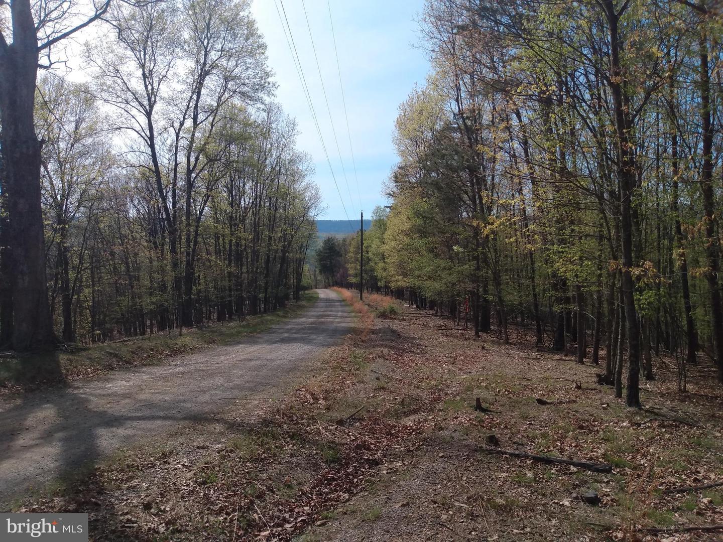 Lot 83 Roundtop Lane  Berkeley Springs WV 25411 photo