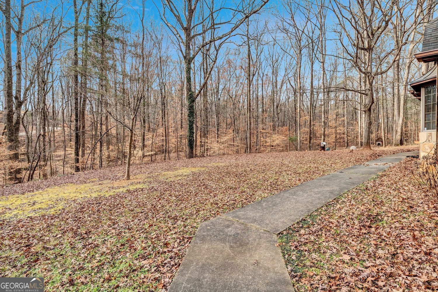 Property Photo:  4220 Chapel Hill Farms Drive  GA 30135 