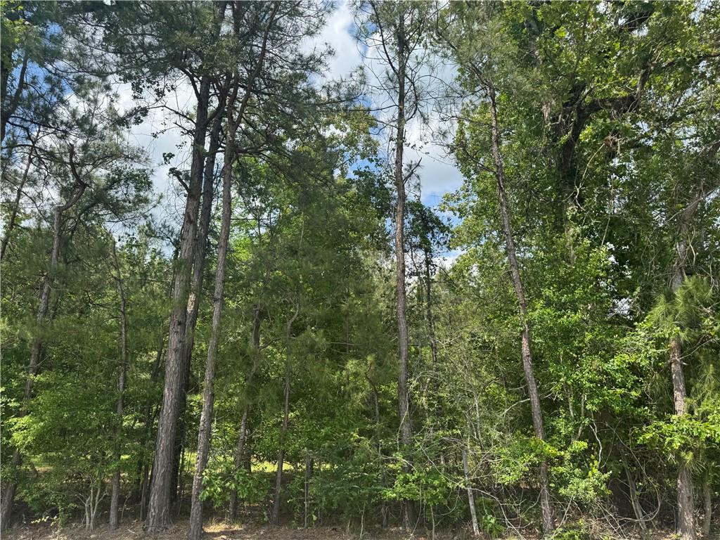 Property Photo: 0 0 Philadelphia Road LA 71328