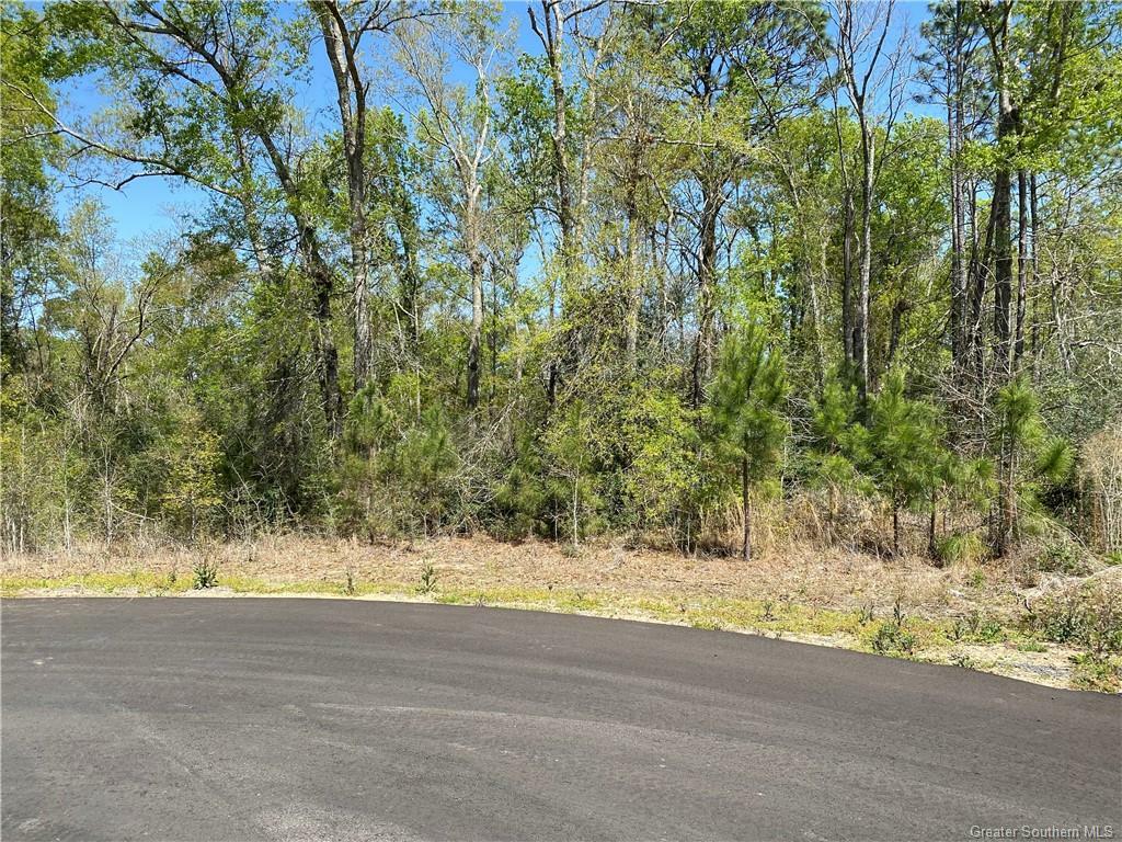 Property Photo: 0 Robinwood Drive E LA 70611