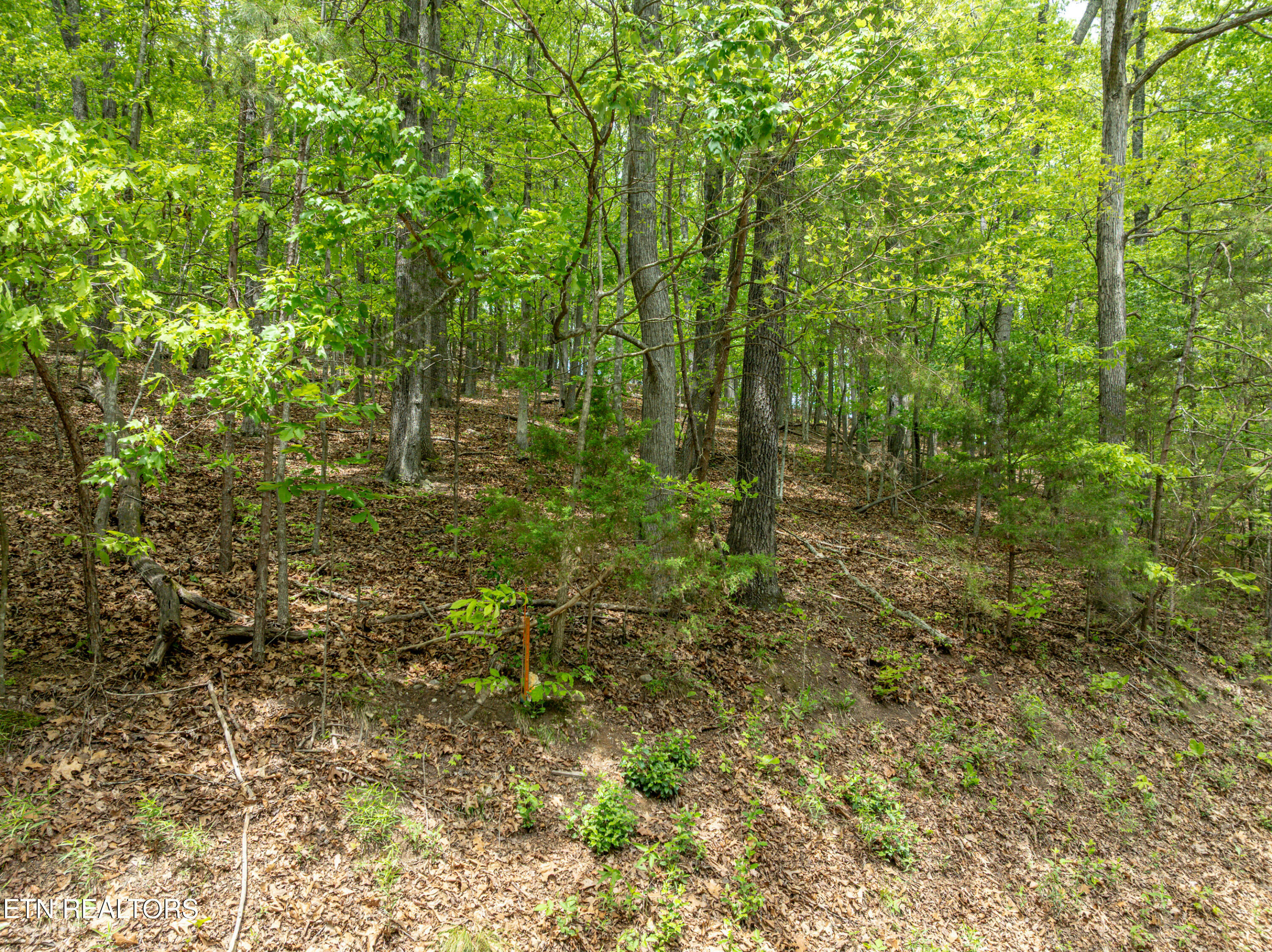 Property Photo: 211 Wahuhu Lane TN 37774