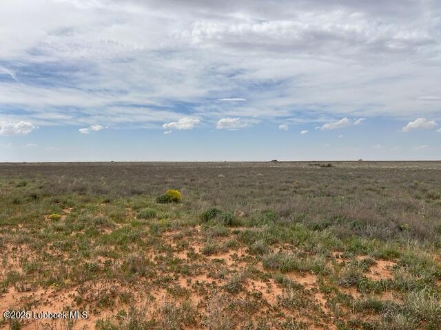 Property Photo:  0000 County Road 460  TX 79316 