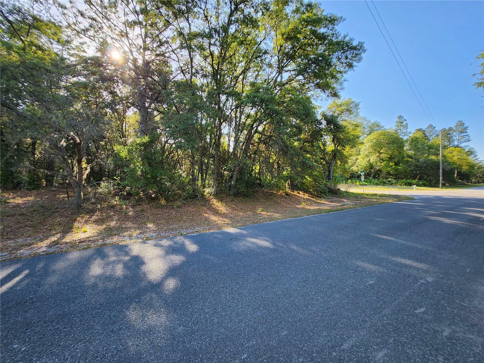 Tbd SW 68th Avenue  Ocala FL 34473 photo