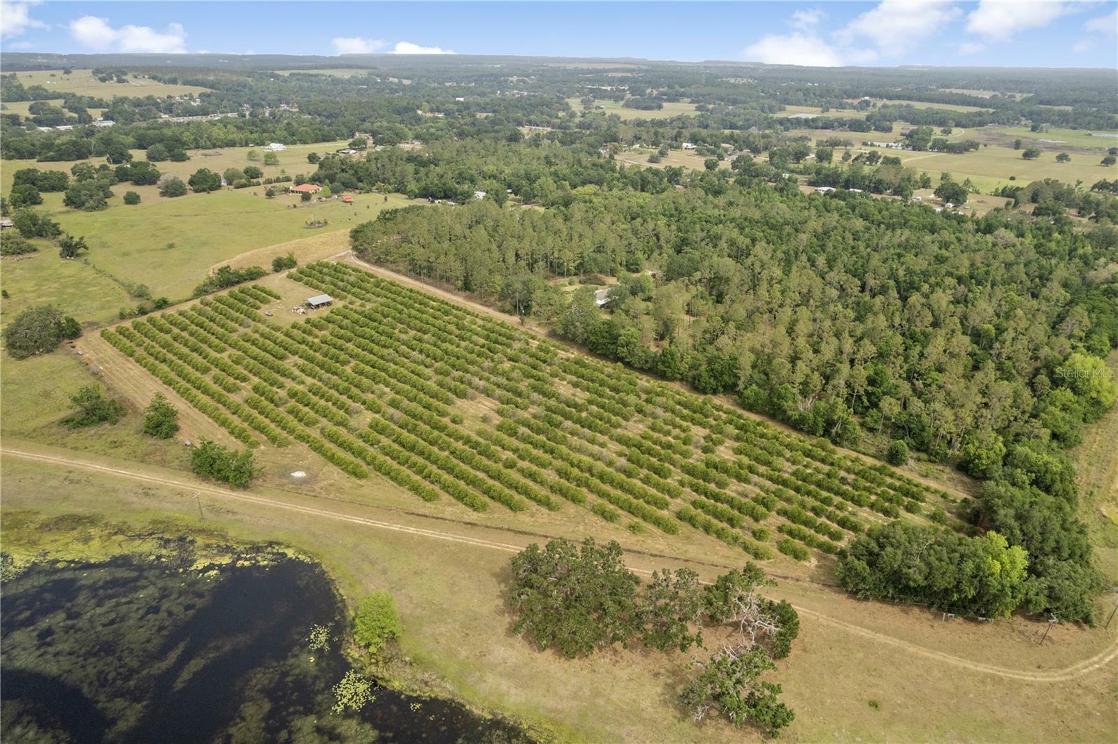 Property Photo: 0 Barry Rd FL 33523