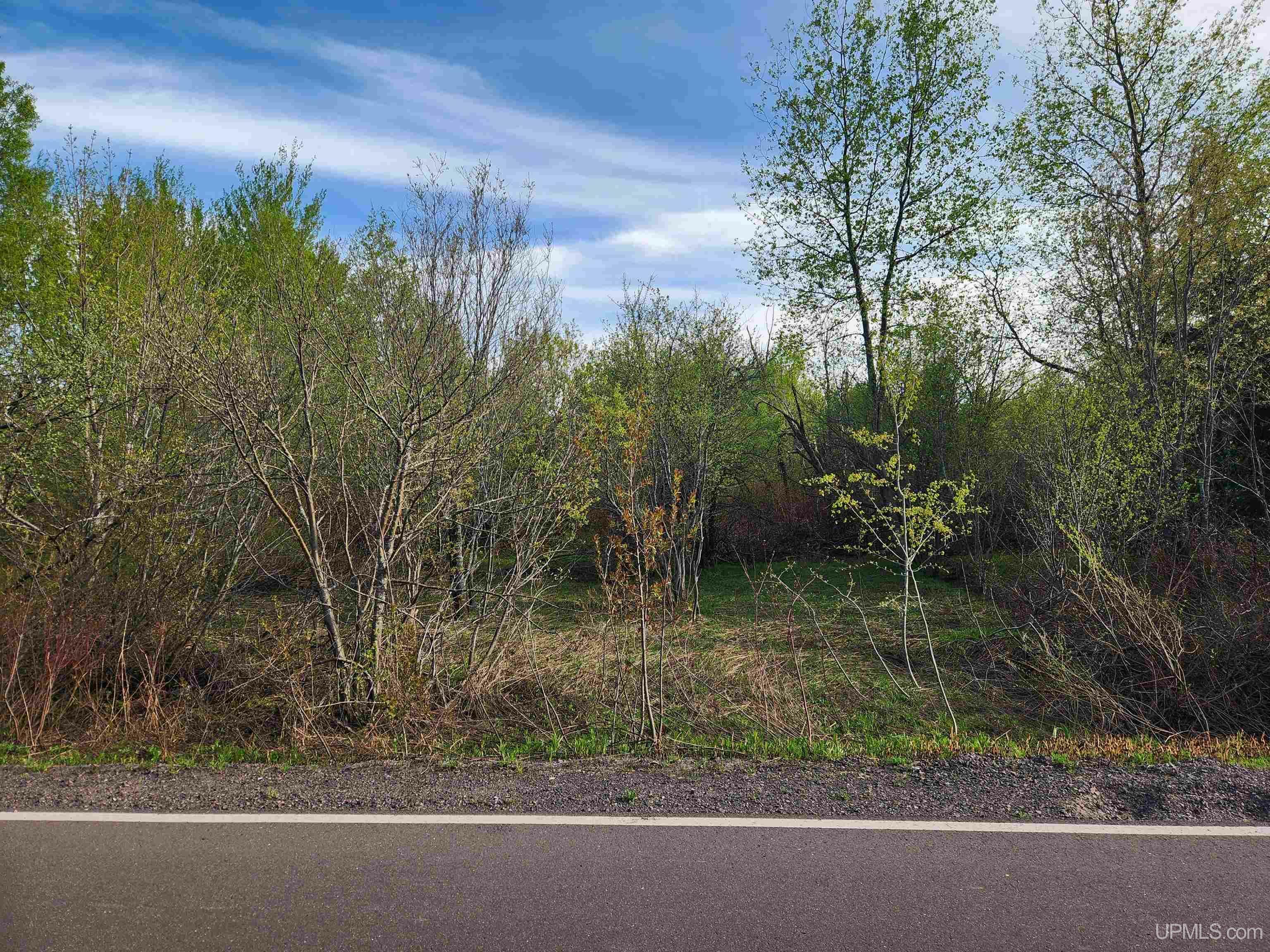 Property Photo: Tbd Part Lot 39 Millionaire Street MI 49913