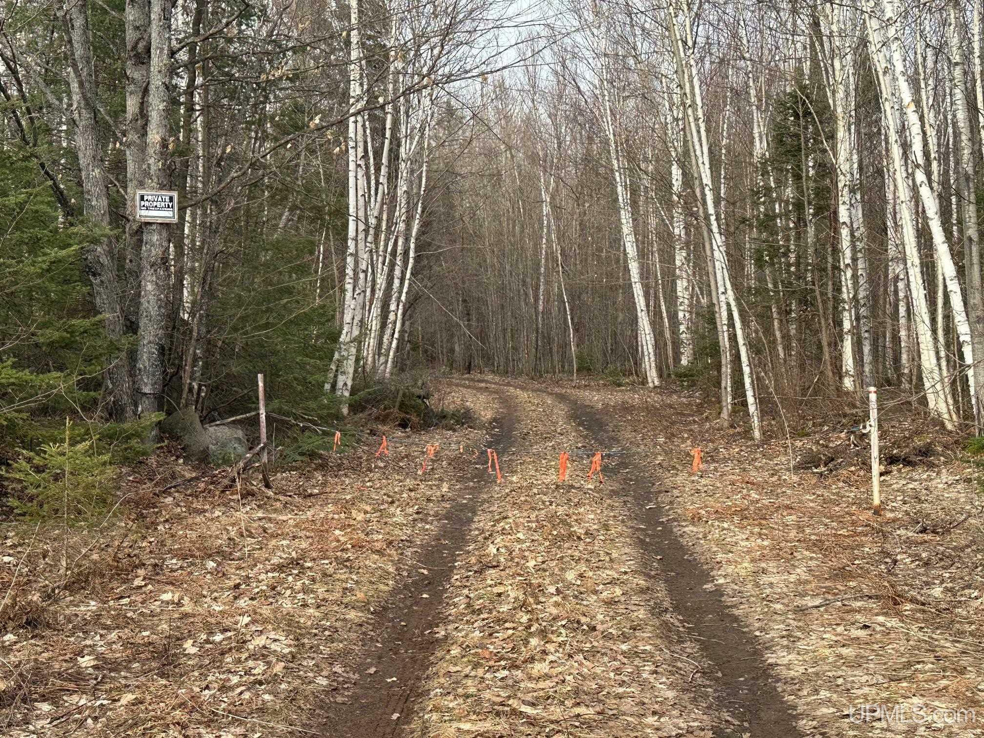 Property Photo: Tbd County Rd Af (Black Hill Street) Road MI 49814-9767