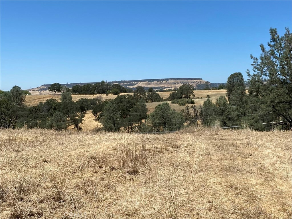 Property Photo: 0 Olive Hwy CA 95966