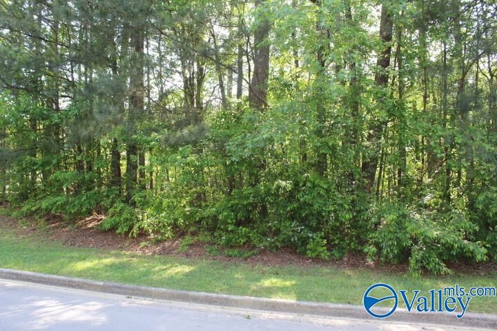 Property Photo:  Lots 6 And 7 Lea Christine Circle  AL 35016 