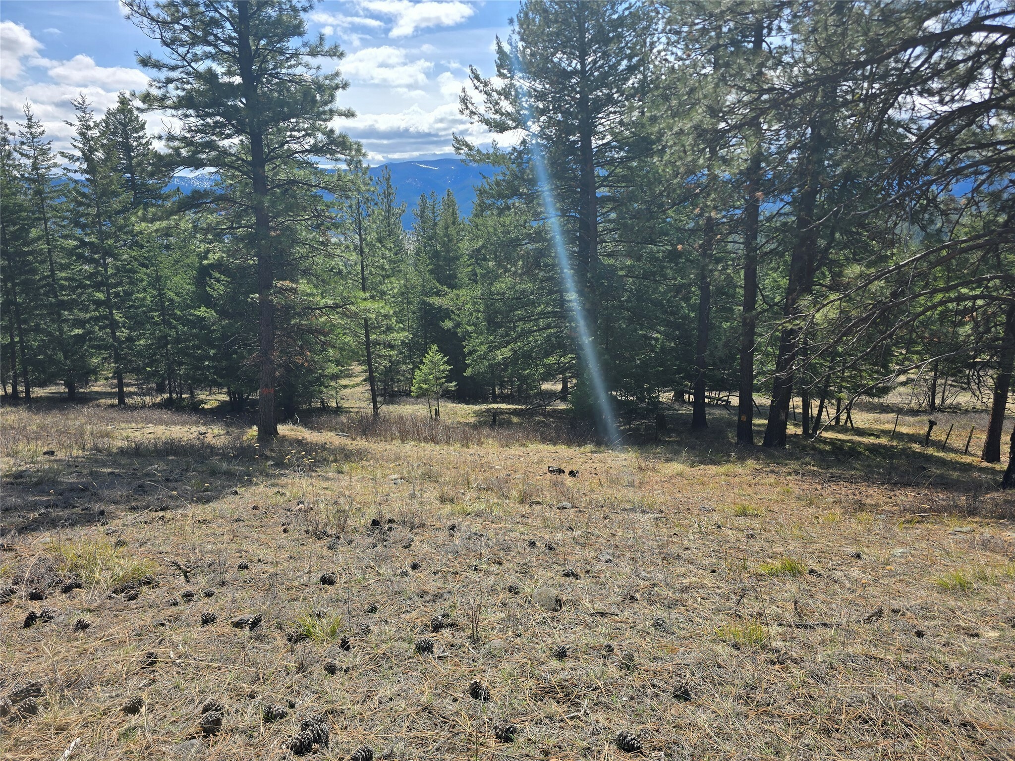 Property Photo: Nhn . MT 59834