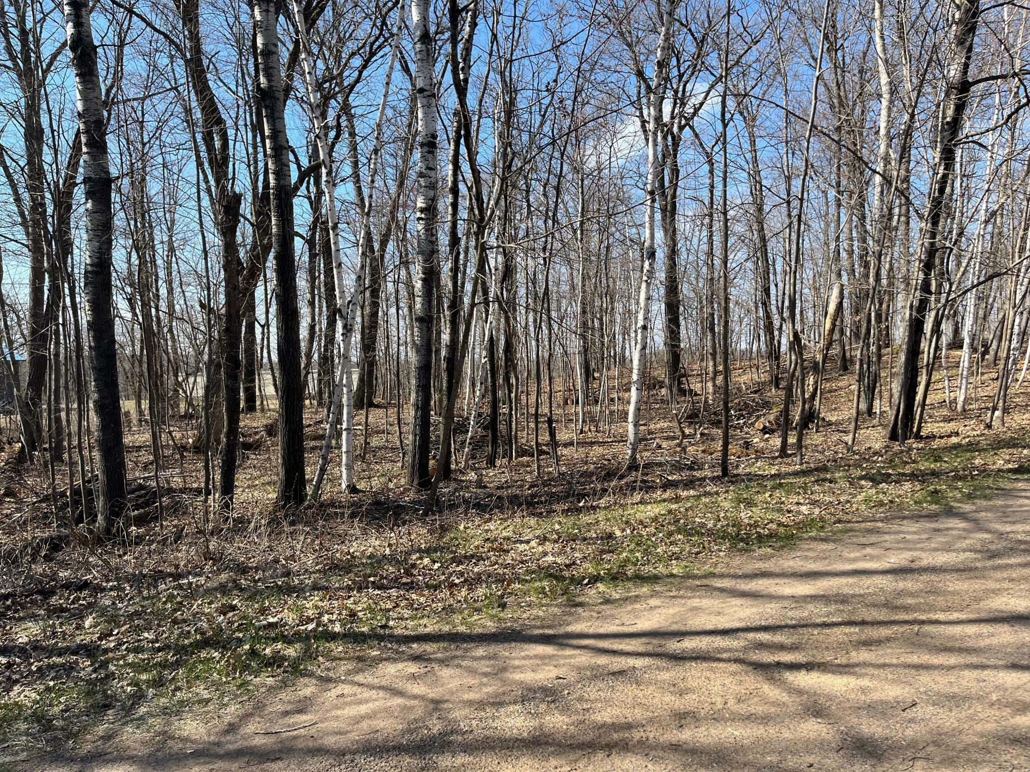 Property Photo: Lot 1 Block 12 MN 56450