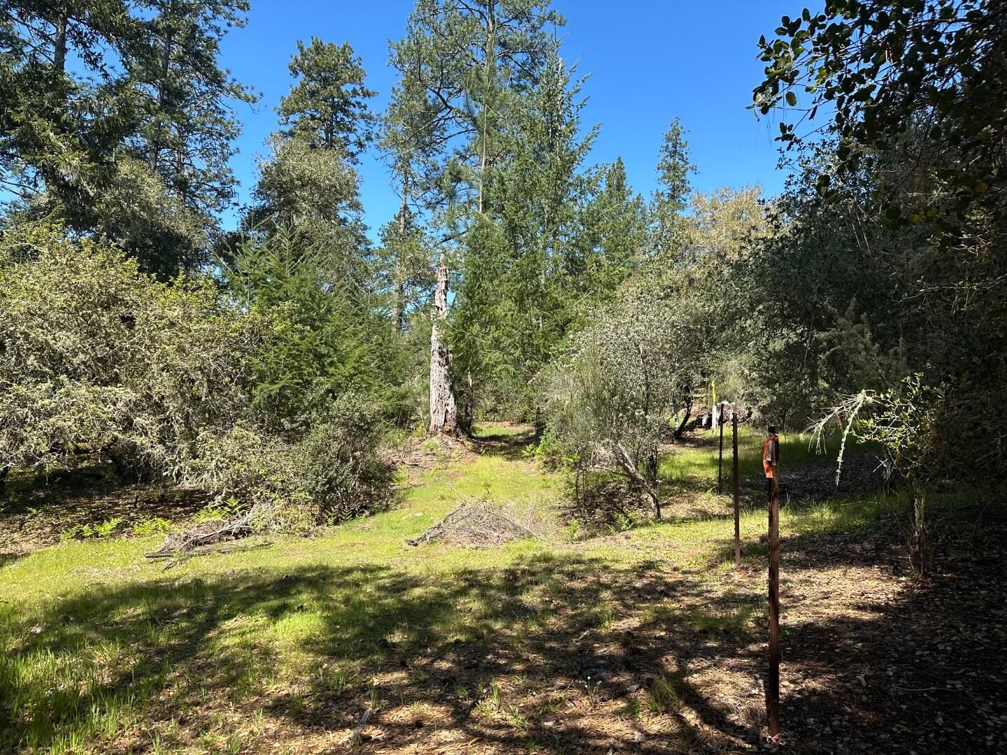 Property Photo: 000 Hidden Glen Drive CA 95066