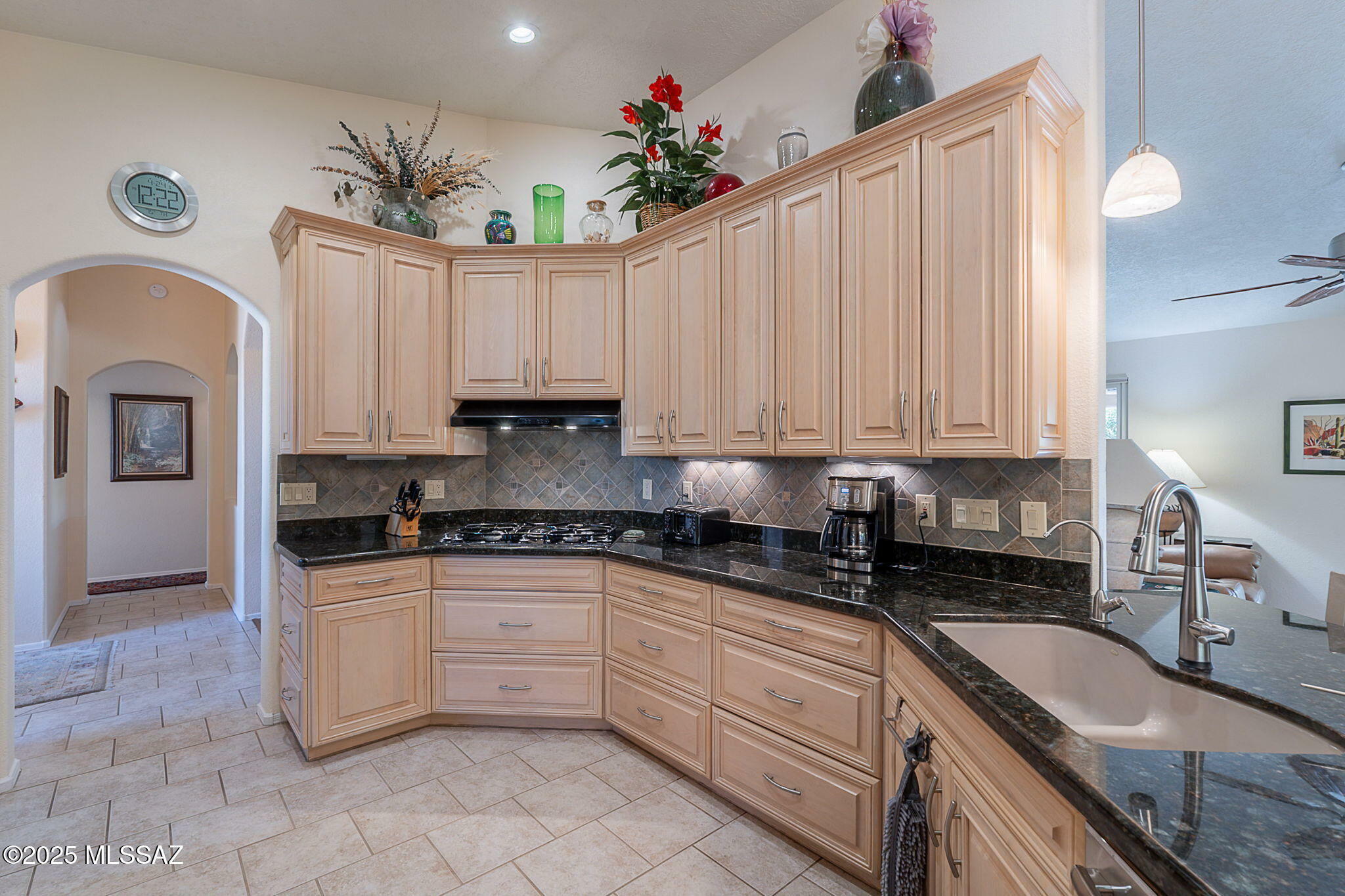 Property Photo:  65885 E Desert Ridge Drive  AZ 85739 