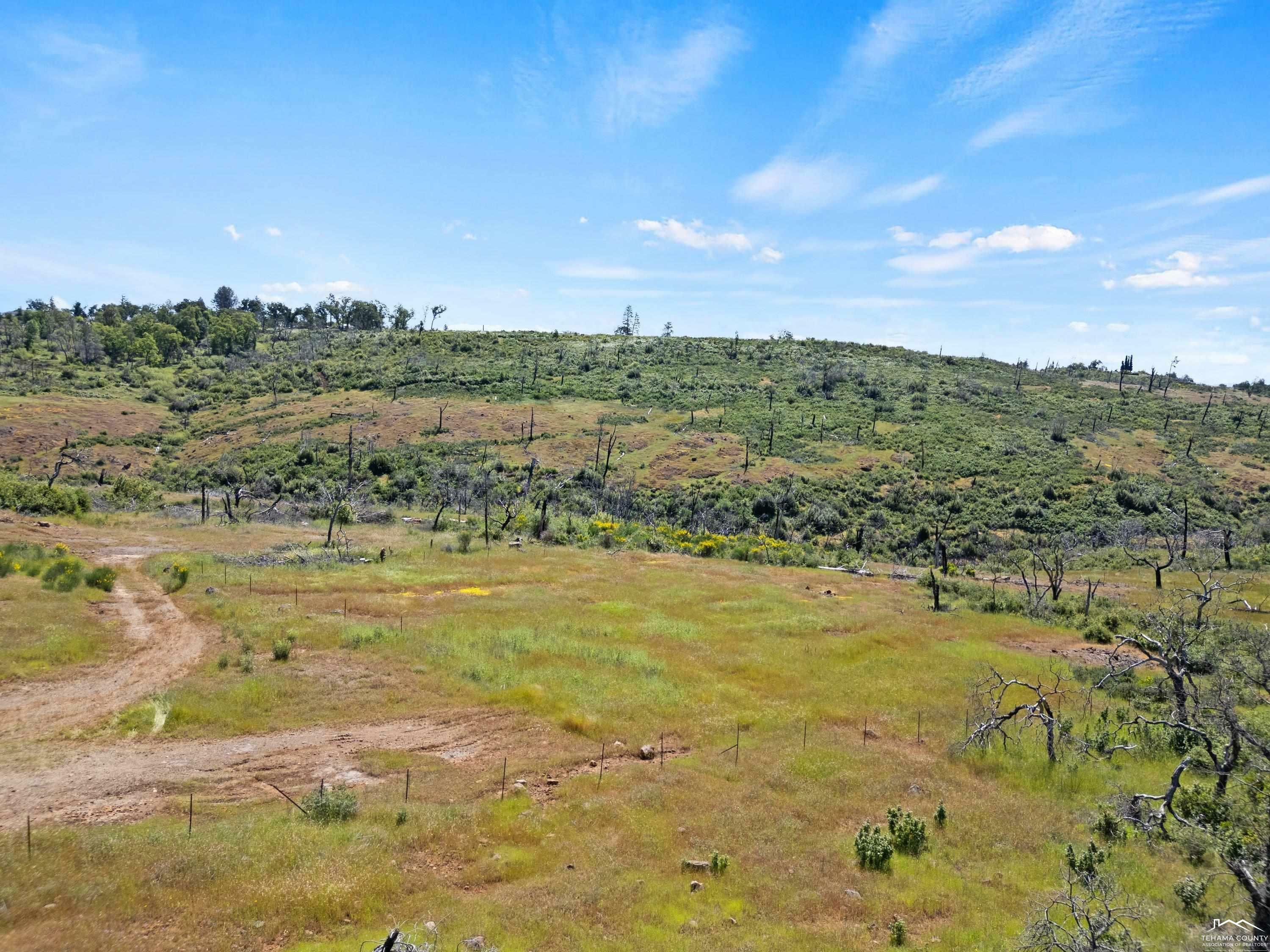 Property Photo:  5200 Villa Falls  CA 95969 
