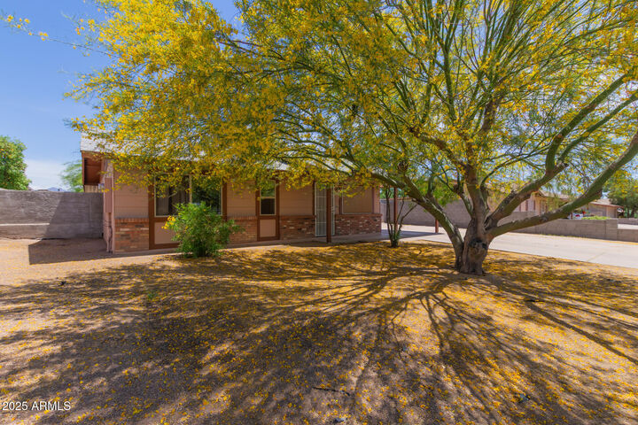 Property Photo: 525 N 94th Way AZ 85207