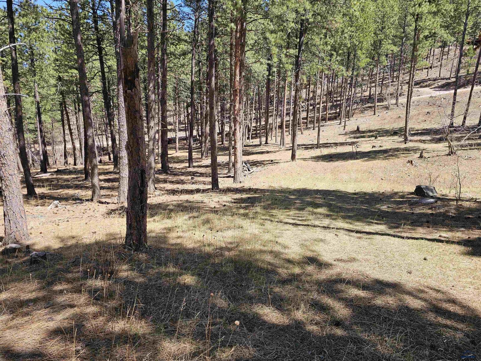 Property Photo:  200 Matterhorn Dr  SD 57702 