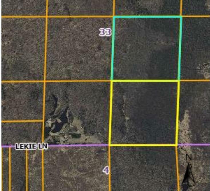 Property Photo: 000 Lekie Lane WI 54451