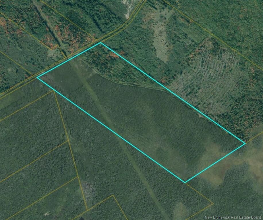 Property Photo:  Lot Harley Road  NB E4T 2V4 