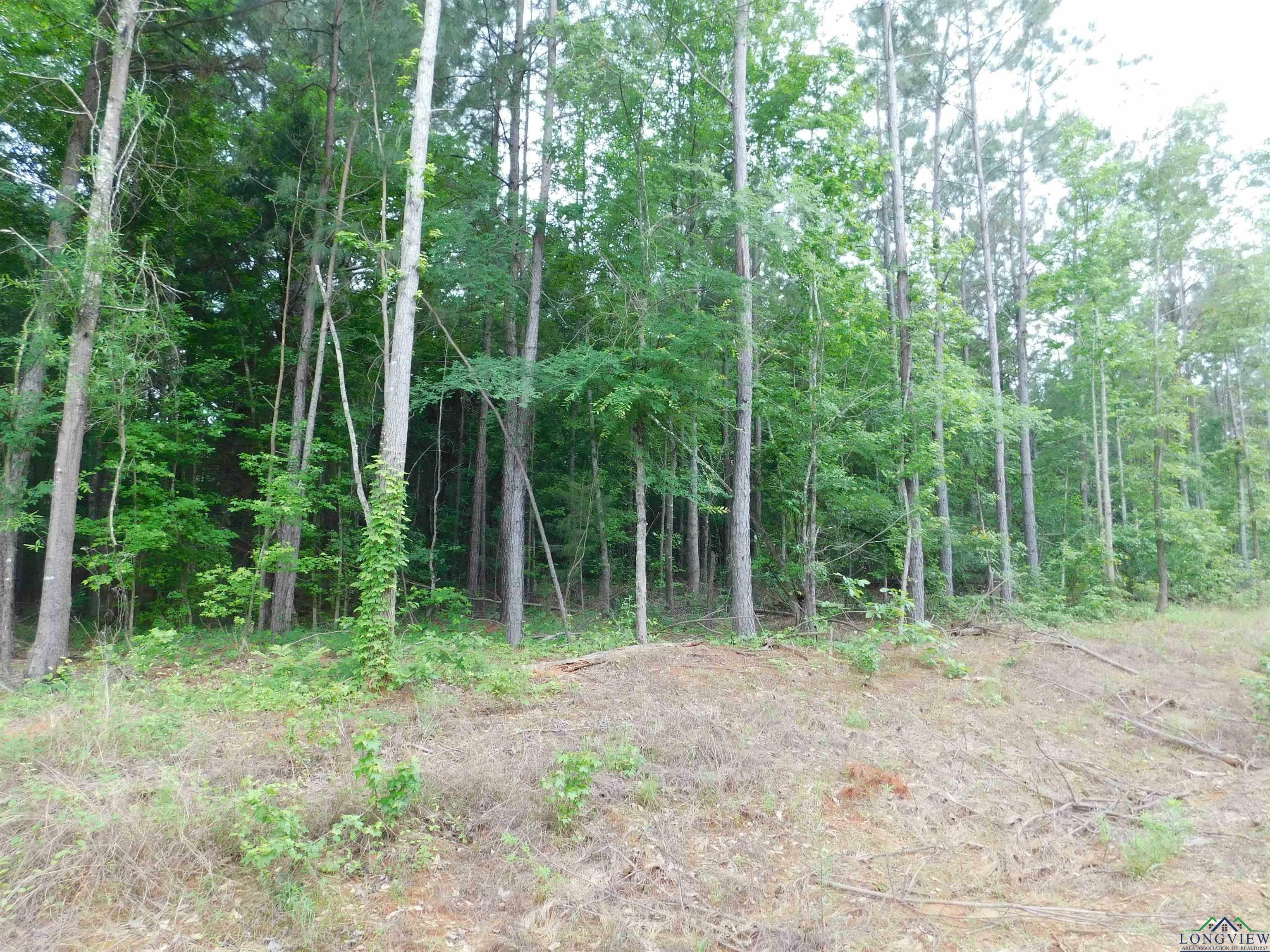 Property Photo: Tbd Megan Mills Rd TX 75644