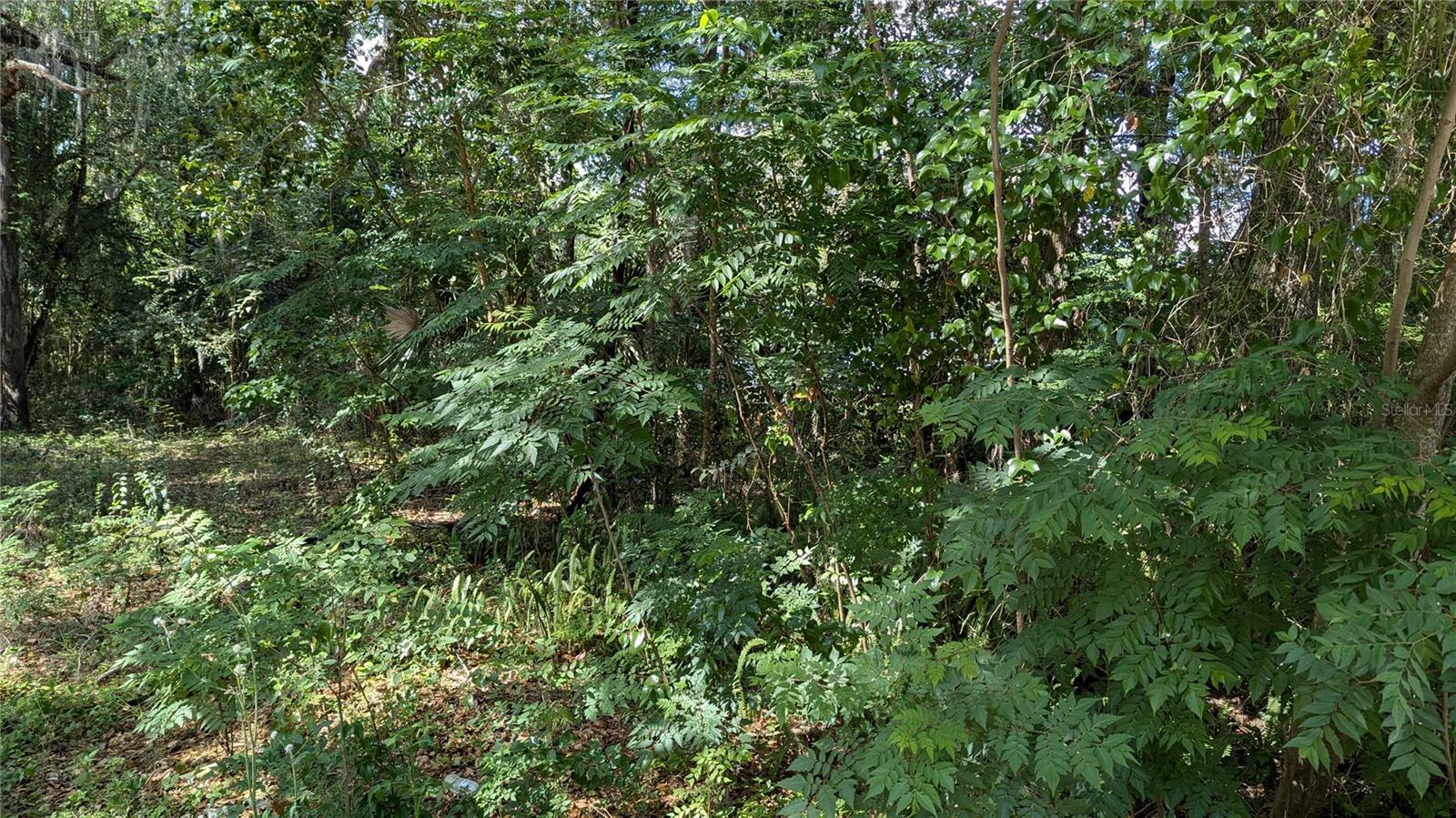 Property Photo: 2602 NE 70th Street FL 32609