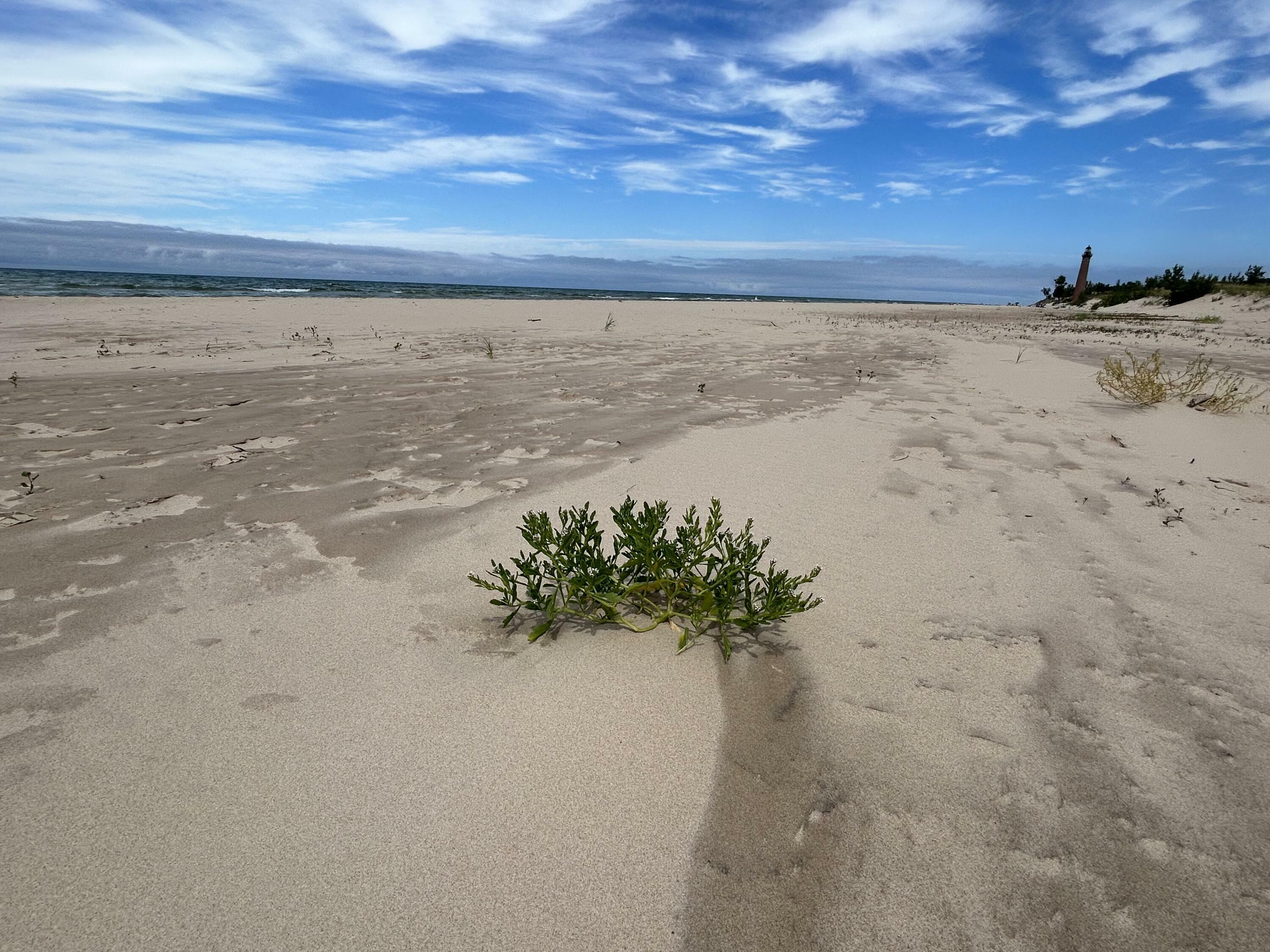 Property Photo: 14 N Lighthouse Drive MI 49436