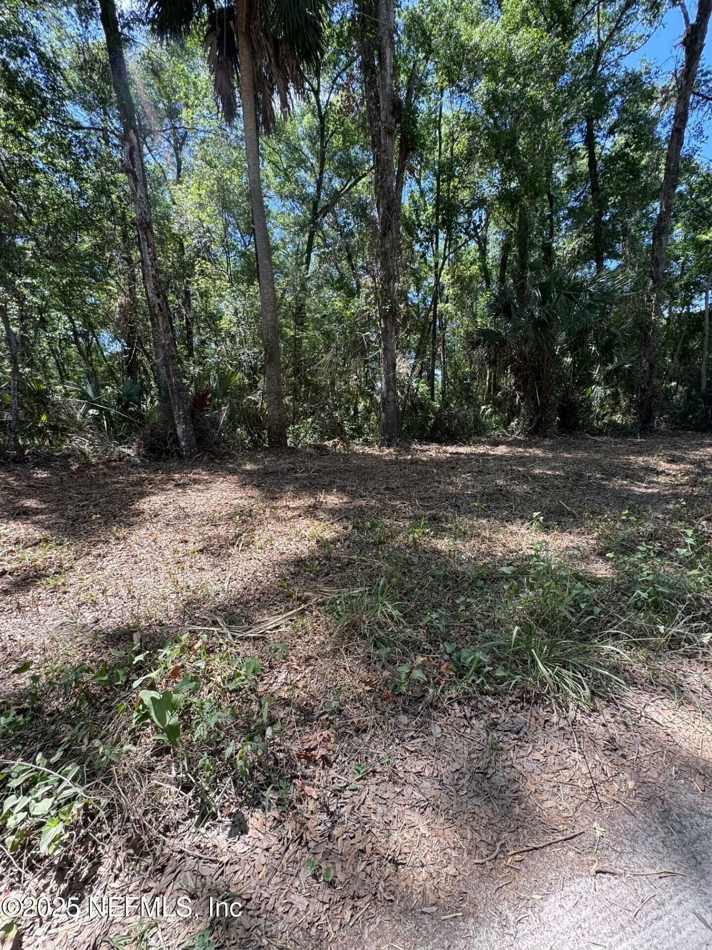 Property Photo: 109 Richmond Street FL 32189