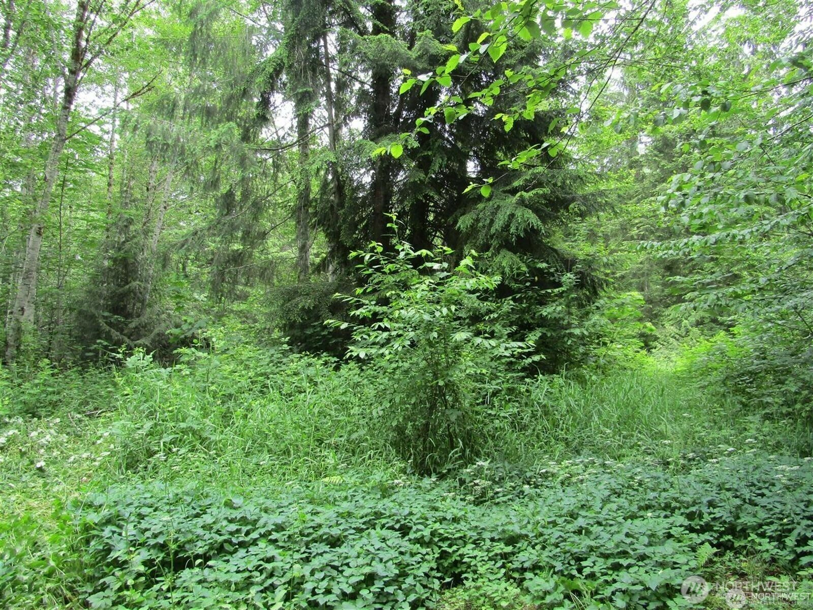 Property Photo: 0 Davis Lake Road WA 98356