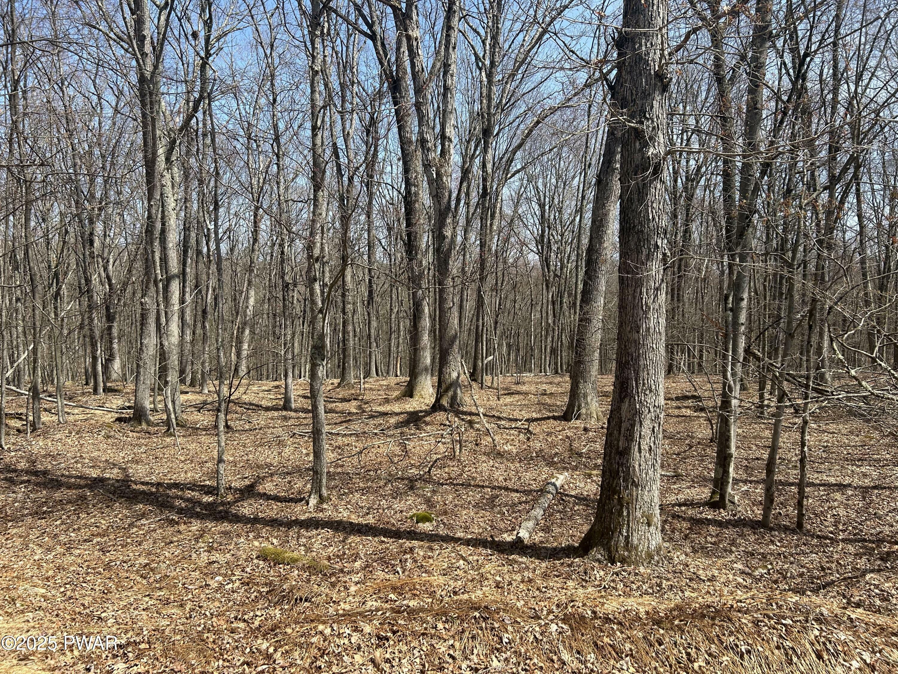 Property Photo: 139 Rim Rock Lane PA 18428