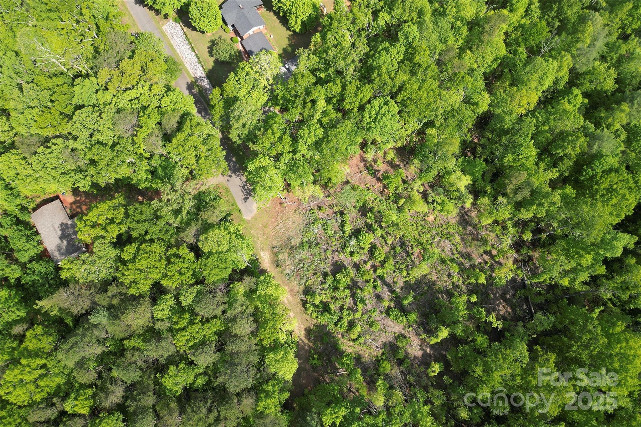Property Photo: 377 Amelia Drive NC 28752
