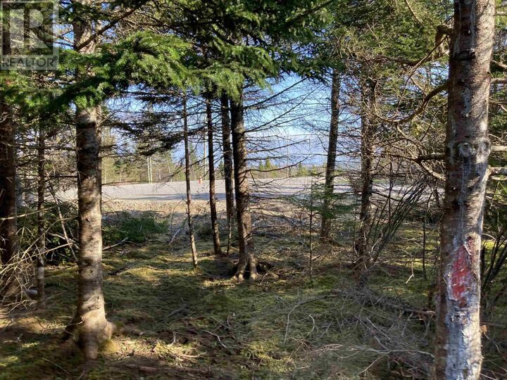 Property Photo:  Lot 21-11 Mary Cecelia Ridge  NS B0H 1P0 