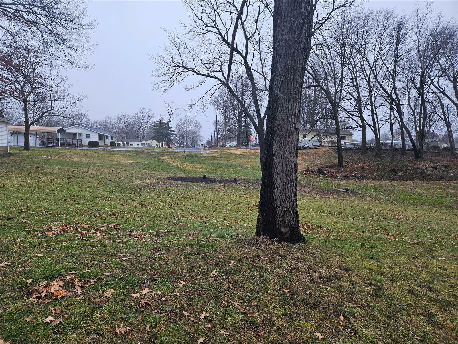 Property Photo: 19 Fairway Drive IL 62010