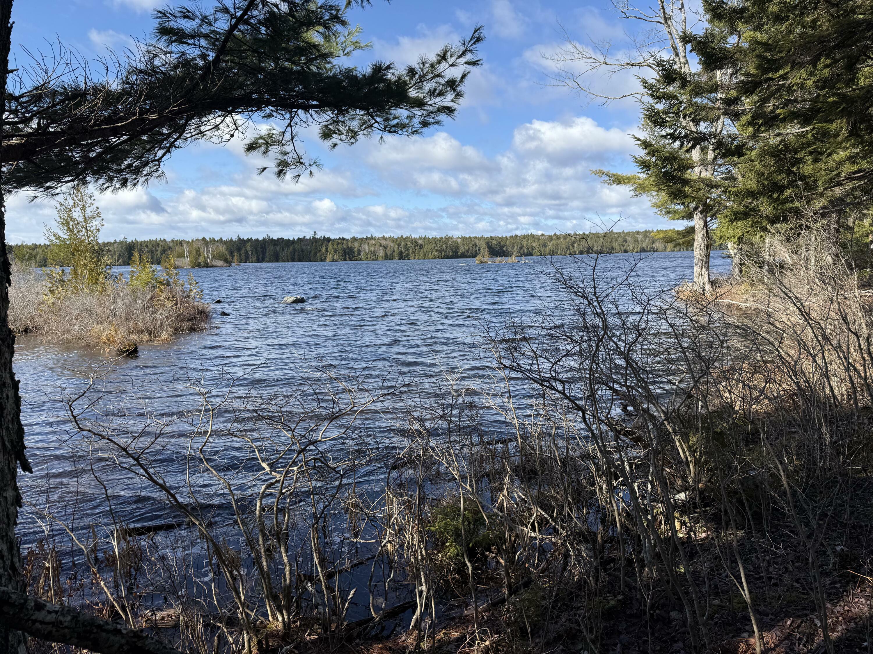 Property Photo: Lot E Birch Point Road ME 04657