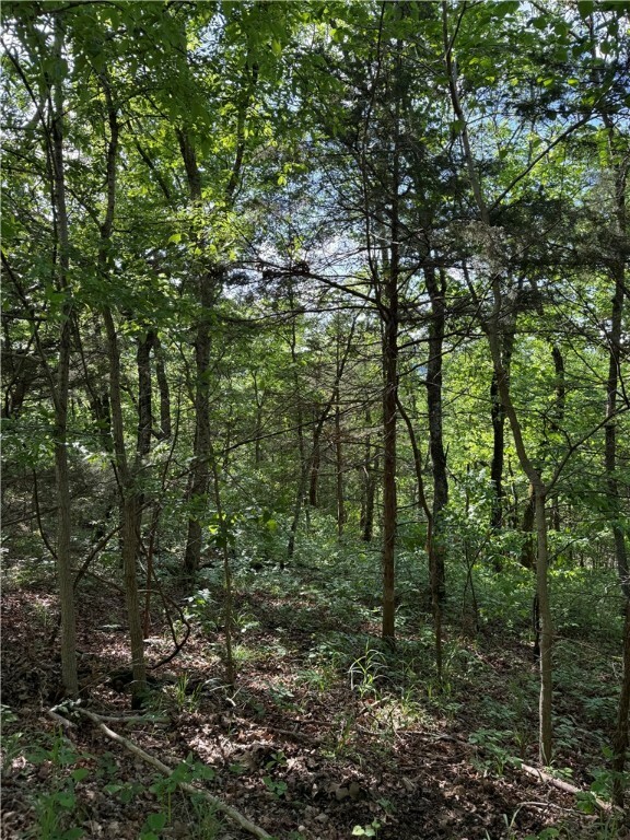 Property Photo: Woodside Lane AR 72631