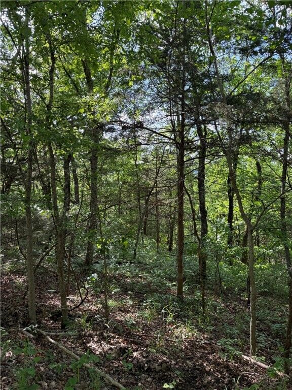 Property Photo: Lot 15 Woodside Lane AR 72631