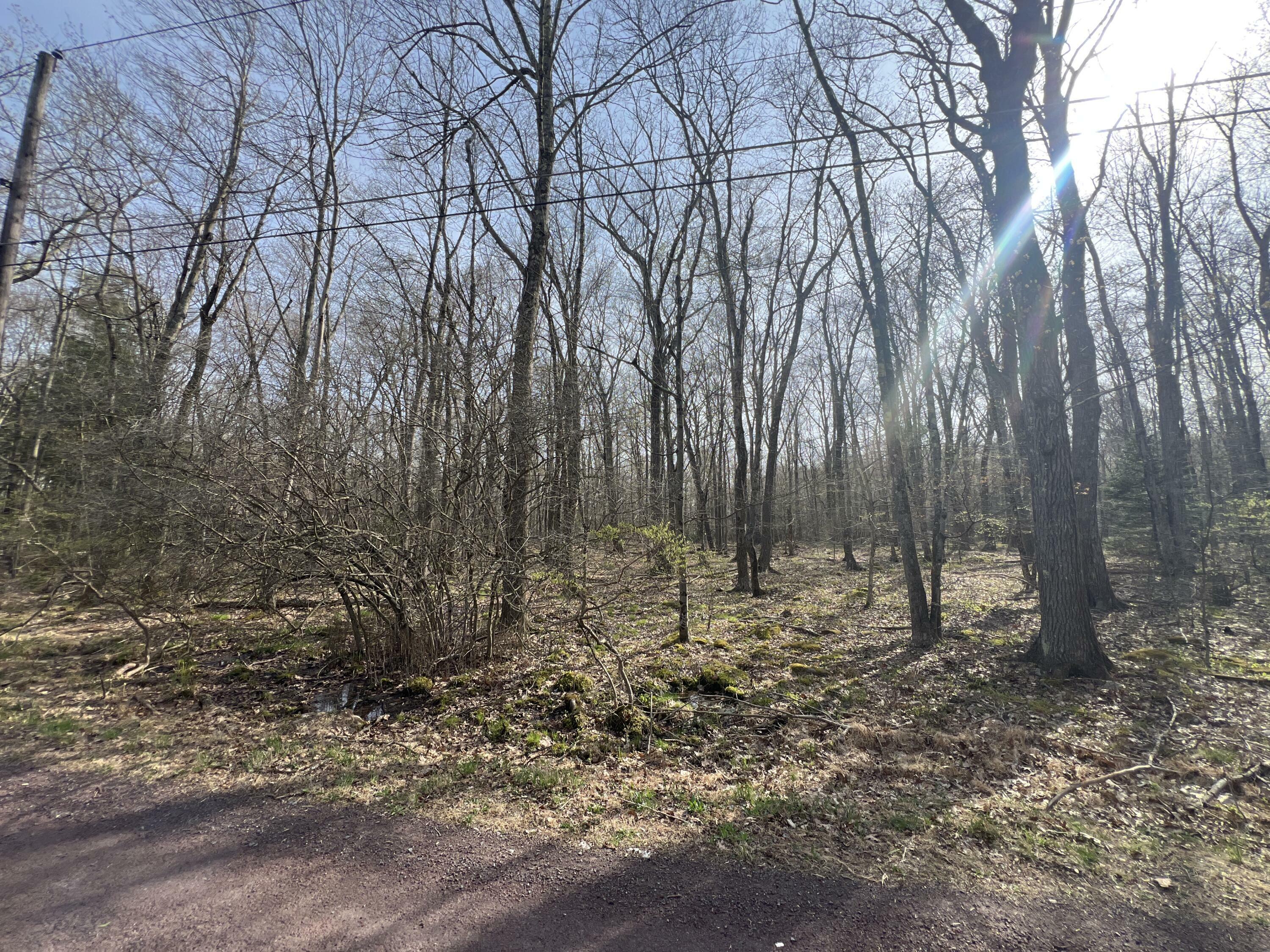 Property Photo: Lot 1010 Beaver Run PA 18347