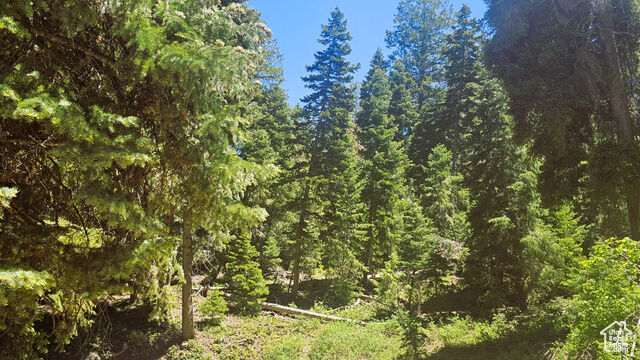 Property Photo: 55 Timber Ridge Rd A55 UT 84647