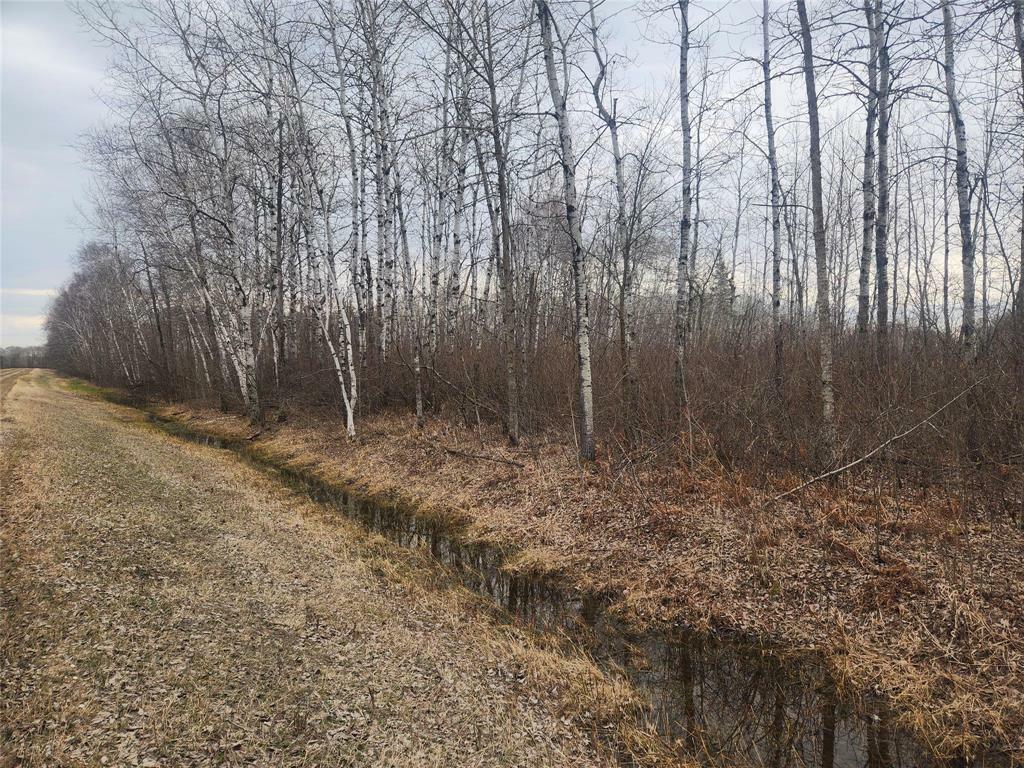 Photo de la propriété: 0 10N Road MB R0A 1Y0