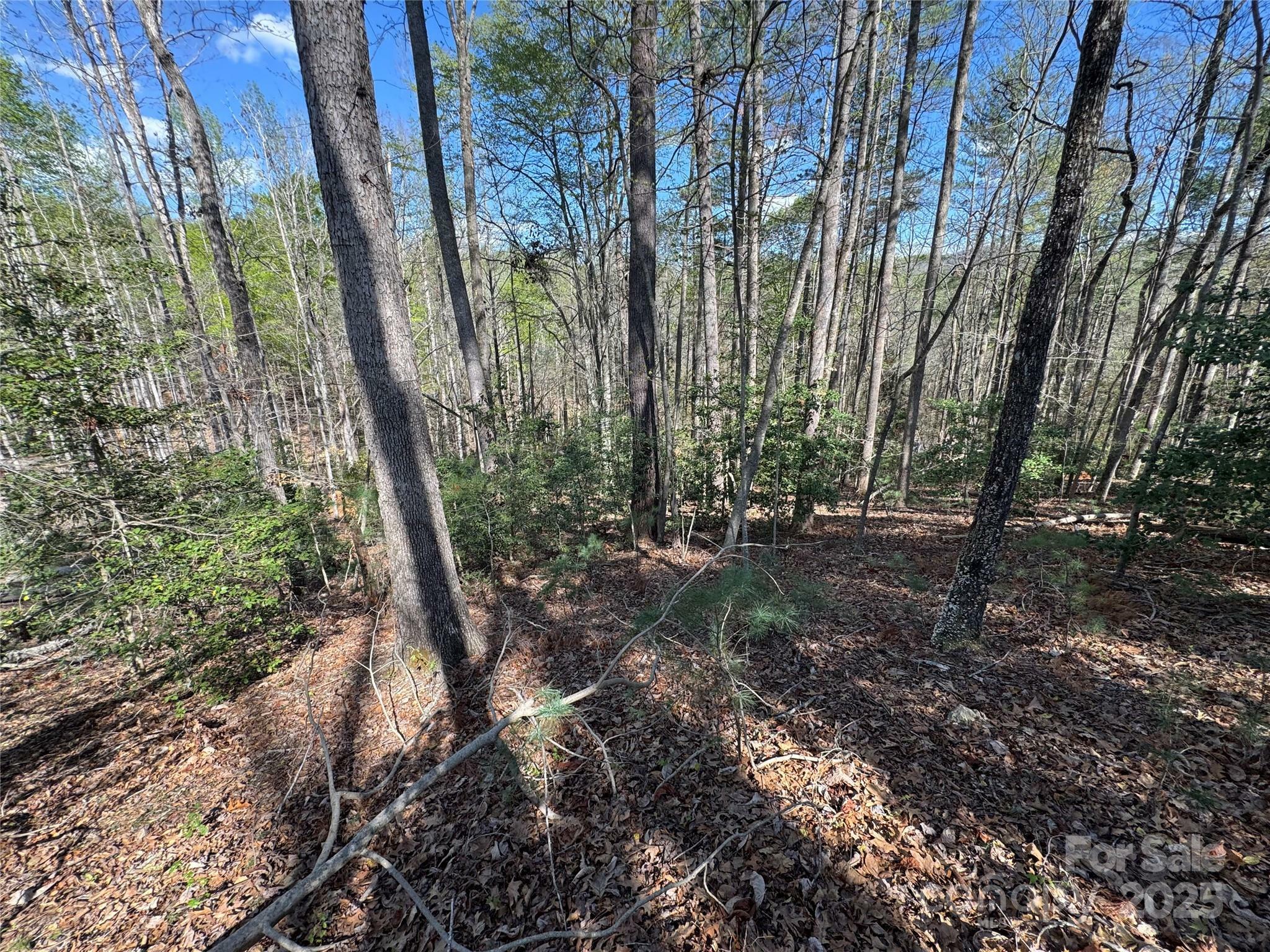 Property Photo: 0 Rusty Lane NC 28645