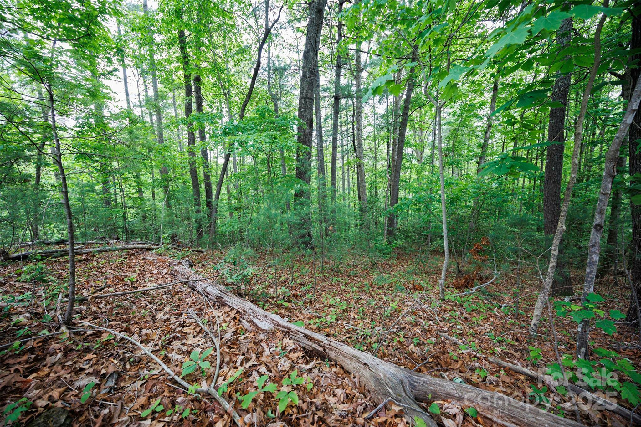 Property Photo:  0 Rusty Lane  NC 28645 