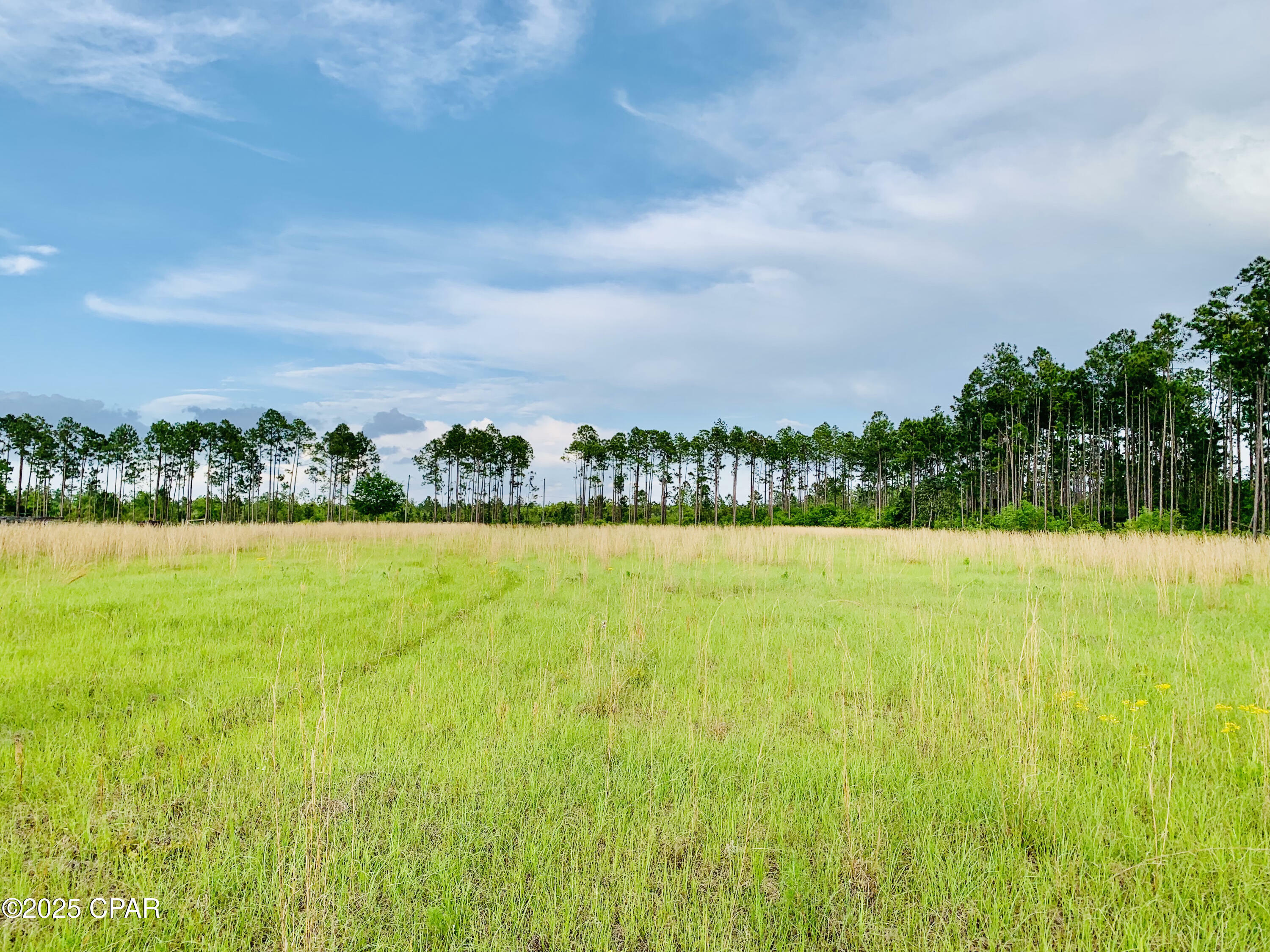Property Photo: 16711 Roll O Home Road FL 32438