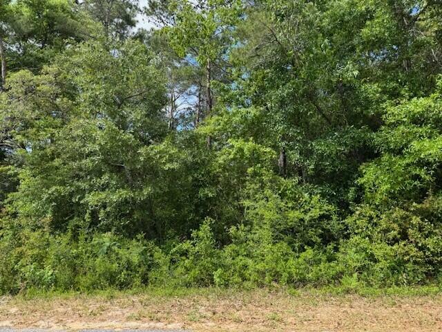Property Photo: 9551 Bone Bluff Drive FL 32566