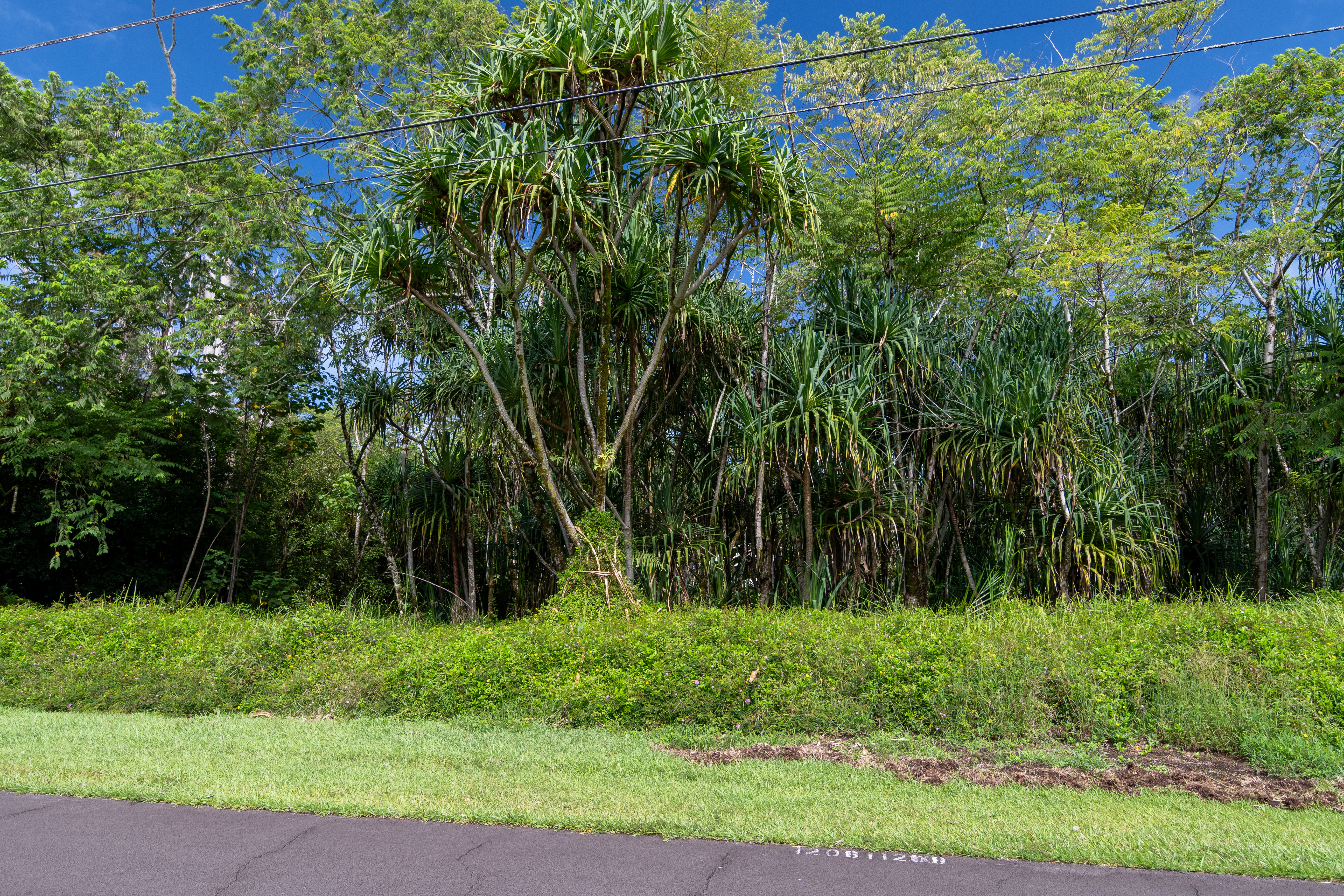 Mano St  Pahoa HI 96778 photo