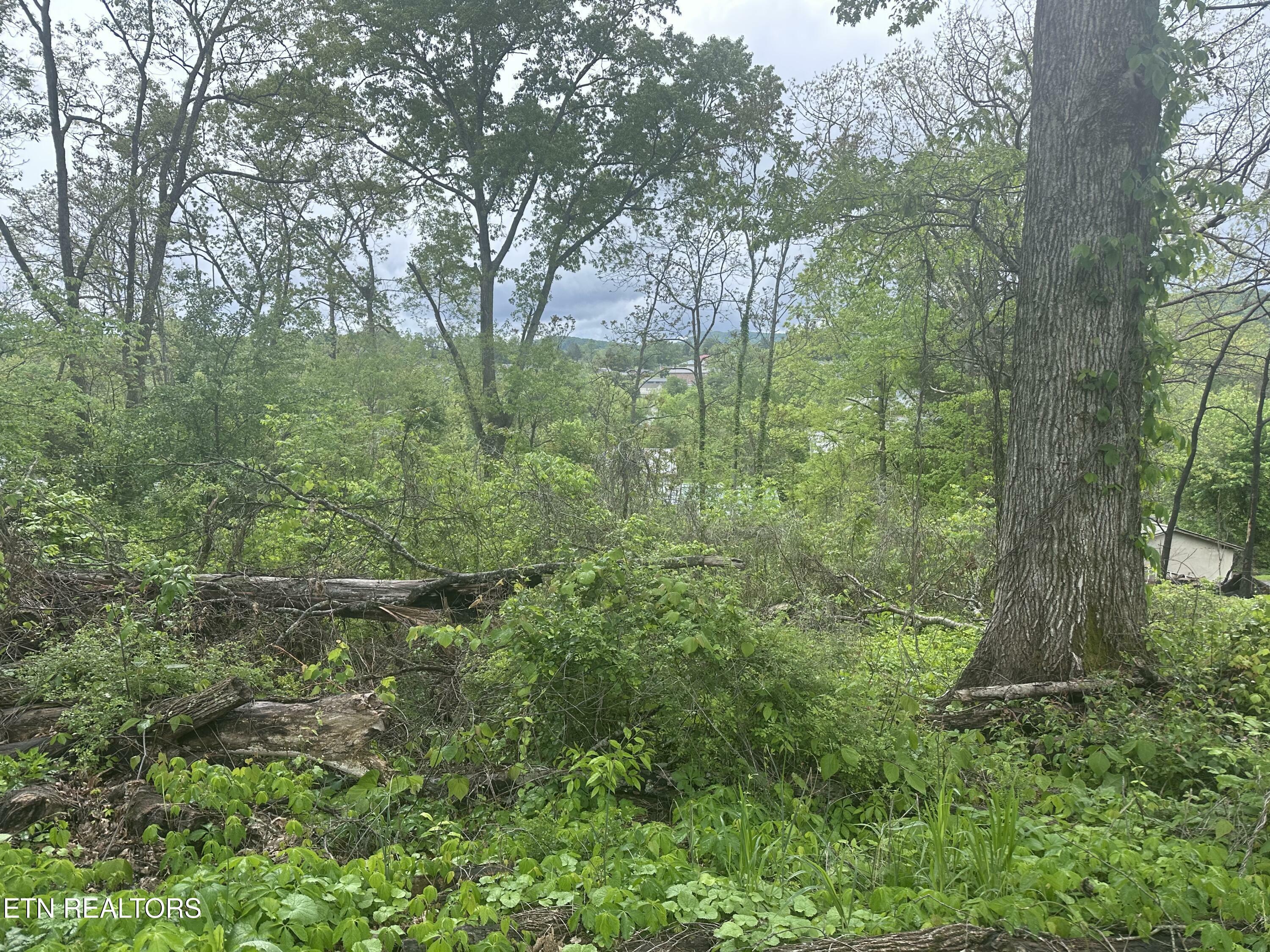 Property Photo: Oakdale Ave TN 37752