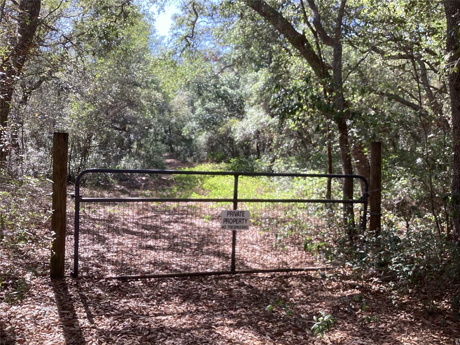 Property Photo: No Street FL 32763