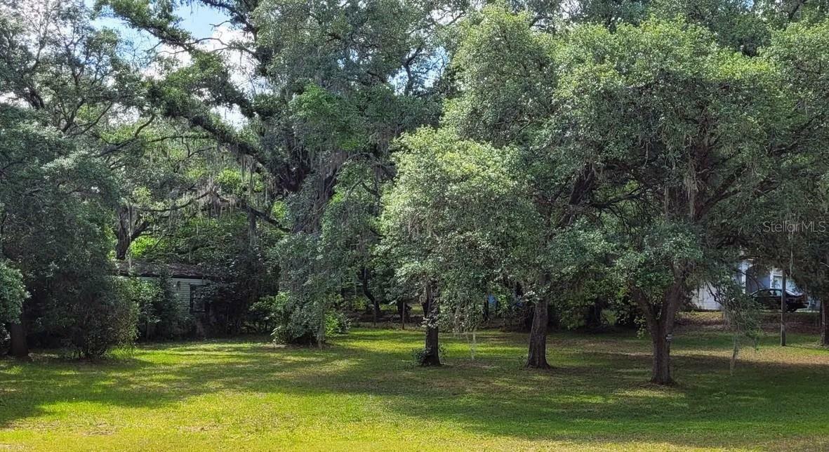 17912 Greensboro Street  Spring Hill FL 34610 photo