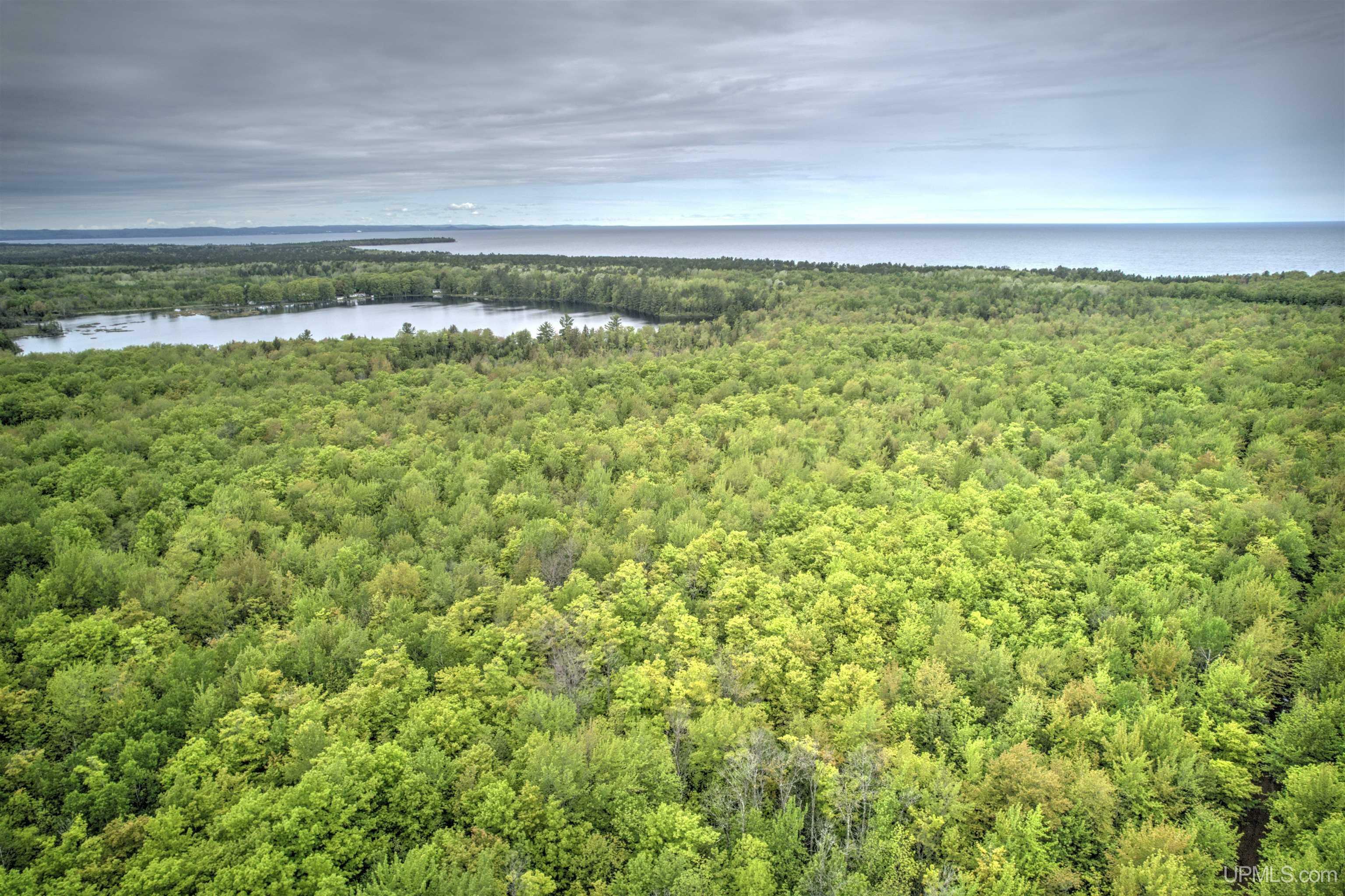Property Photo: Tbd Sigan Road MI 49822