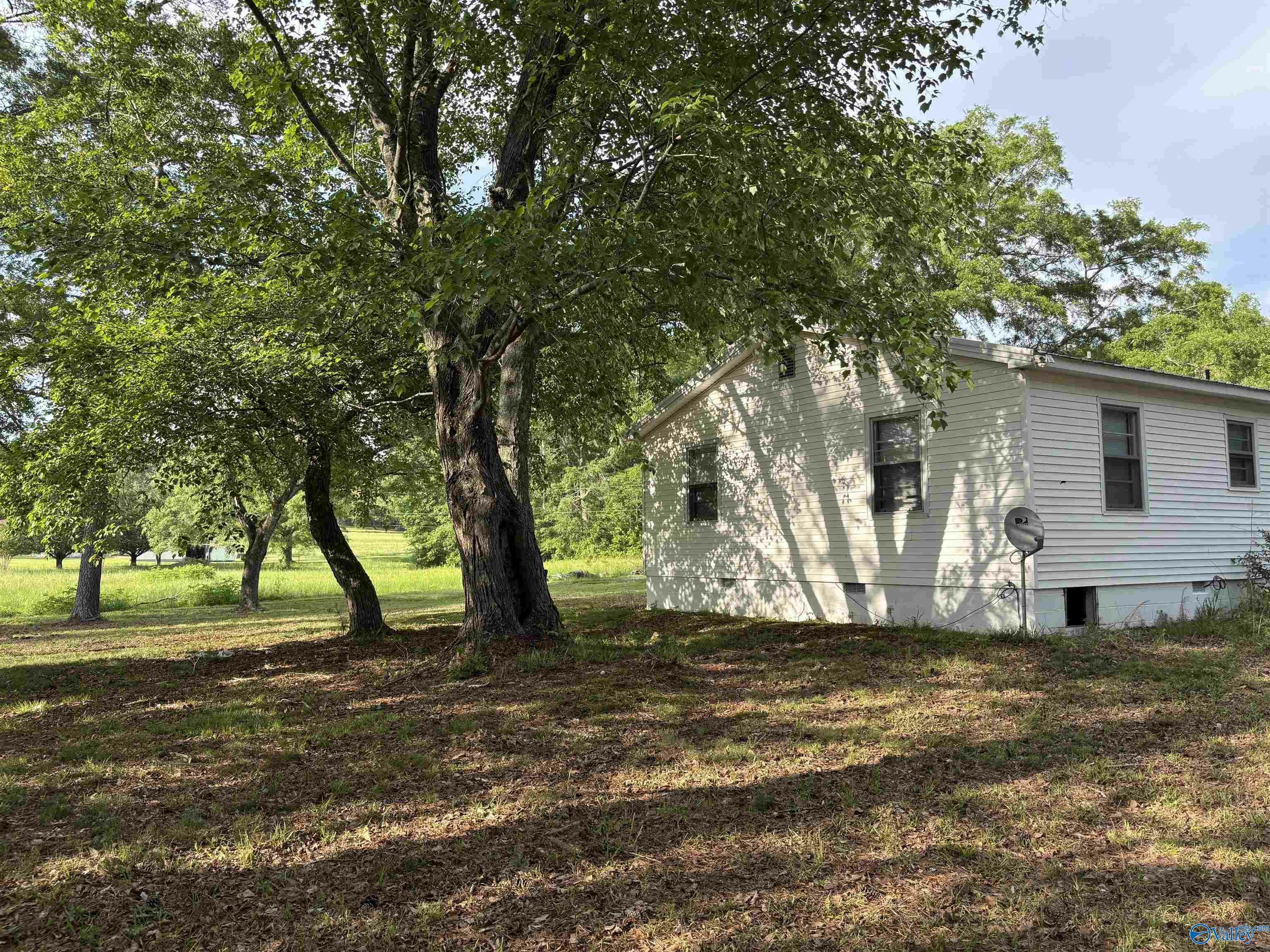 Property Photo: 4475 Reagan Road AL 35952