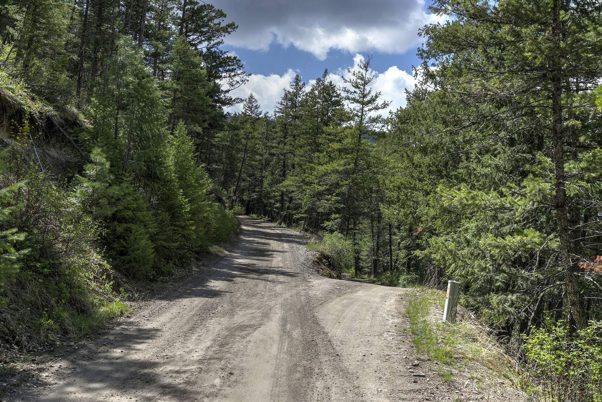 Property Photo: 13275 Balsamroot Road MT 59847