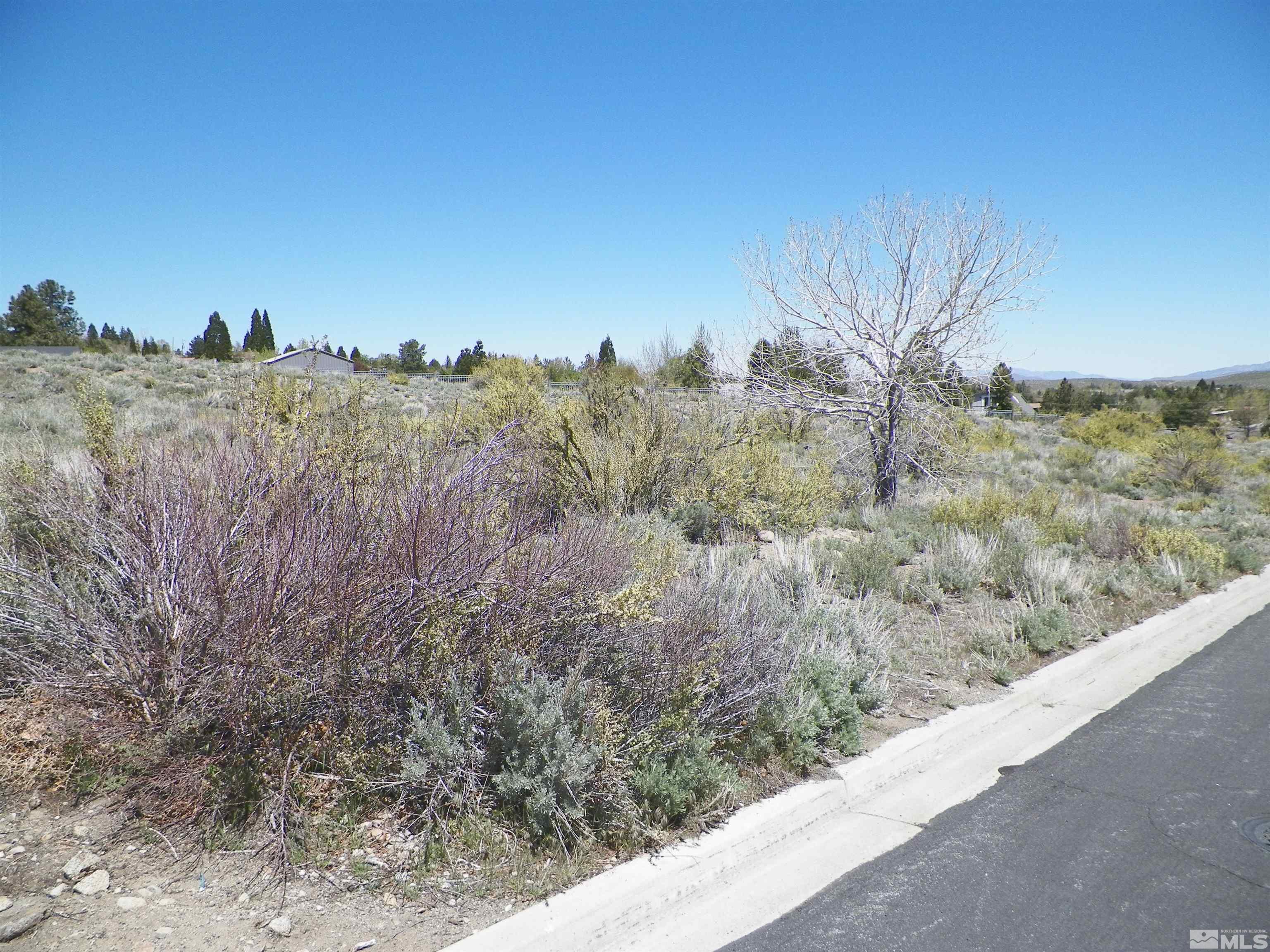 Property Photo:  6360 De Chardin Lane  NV 89511 