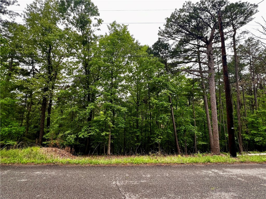 Property Photo: Lot 952 Spruce Drive AR 72756